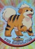 Growlithe Rainbow Foil 58