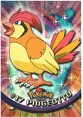 Pidgeotto Foil 17