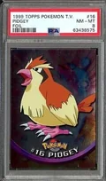 Pidgey Foil 16