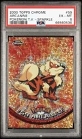 Arcanine Sparkle 59
