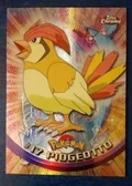 Pidgeotto Spectra 17