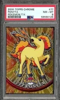 Ponyta 77