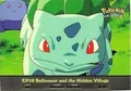 Bulbasaur And The Hidden Village Ep10