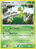 Sceptile 31