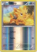 Lillipup Reverse Holo 81