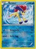 Keldeo Reverse Holo 48