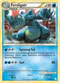 Feraligatr 20