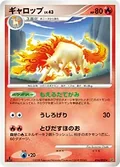 Rapidash 14