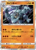 Machamp 30