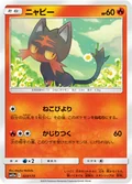 Litten 23