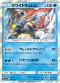 White Kyurem 35