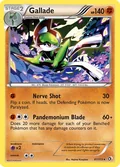 Gallade 81
