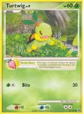Turtwig 78