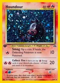 Houndour 5