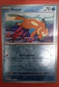 Buizel Reverse Holo 48