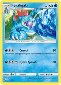 Feraligatr 20
