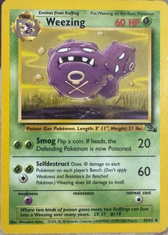 Weezing (1999-2000)