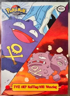 Koffing Weezing Tv13