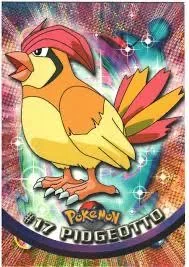 Pidgeotto Foil 17