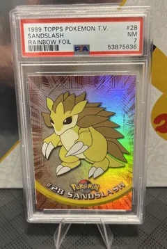 Sandslash Rainbow Foil 28