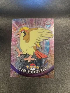 Pidgeot 18