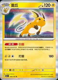 Raichu 26