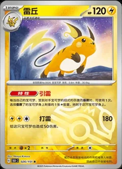 Raichu Master Ball 26