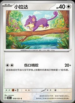 Rattata 19