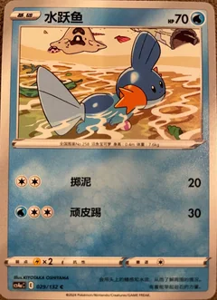 Mudkip 29