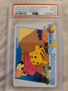 Pikachu And Pidgeotto 97