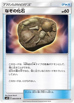 Unidentified Fossil 84
