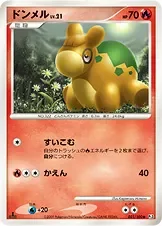 Numel 21