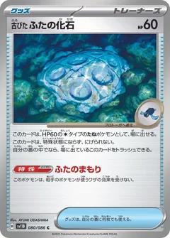 Antique Cover Fossil 80