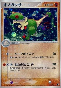 Breloom 47