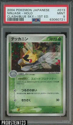 Ninjask 13