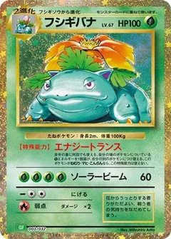 Venusaur 3