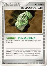 Root Fossil