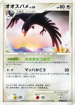 Swellow 1St Edition
