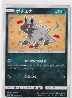 Poochyena 21