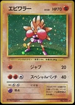 Hitmonchan 107