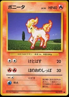 Ponyta 77