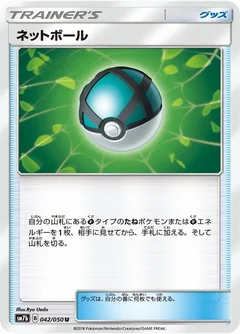 Net Ball 42