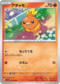Torchic 18