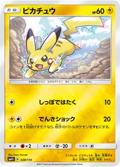 Pikachu 28