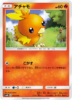 Torchic 12