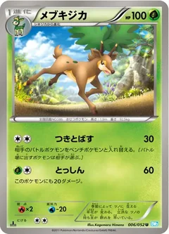 Sawsbuck 6