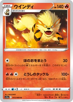 Arcanine 13