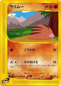 Swinub 57