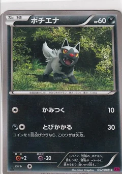 Poochyena 1St Edition 52