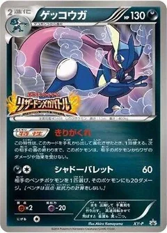 Greninja Charizard Mega Battle Xy P